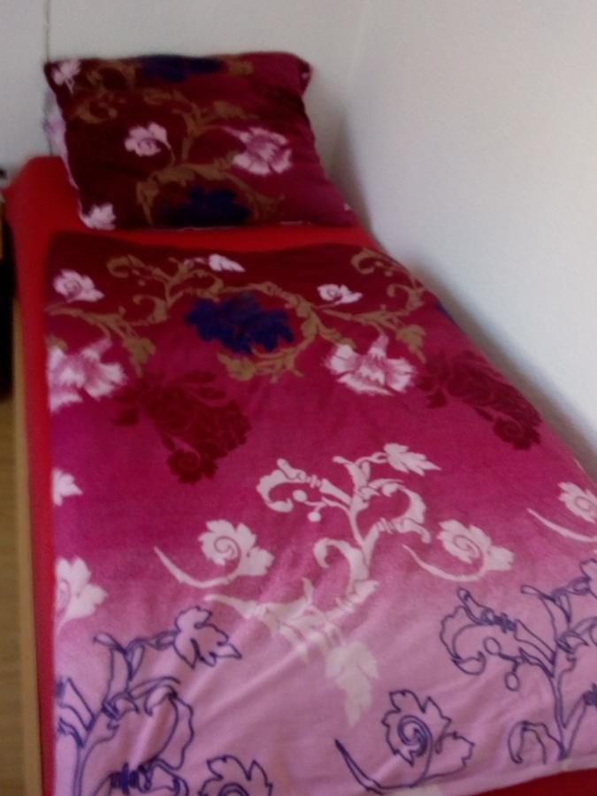 Monteurhotel Garni Alter Olper Hof 林德拉 外观 照片