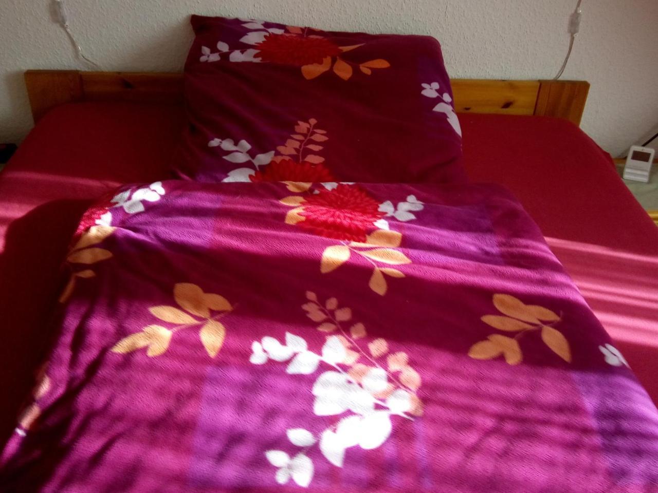 Monteurhotel Garni Alter Olper Hof 林德拉 外观 照片