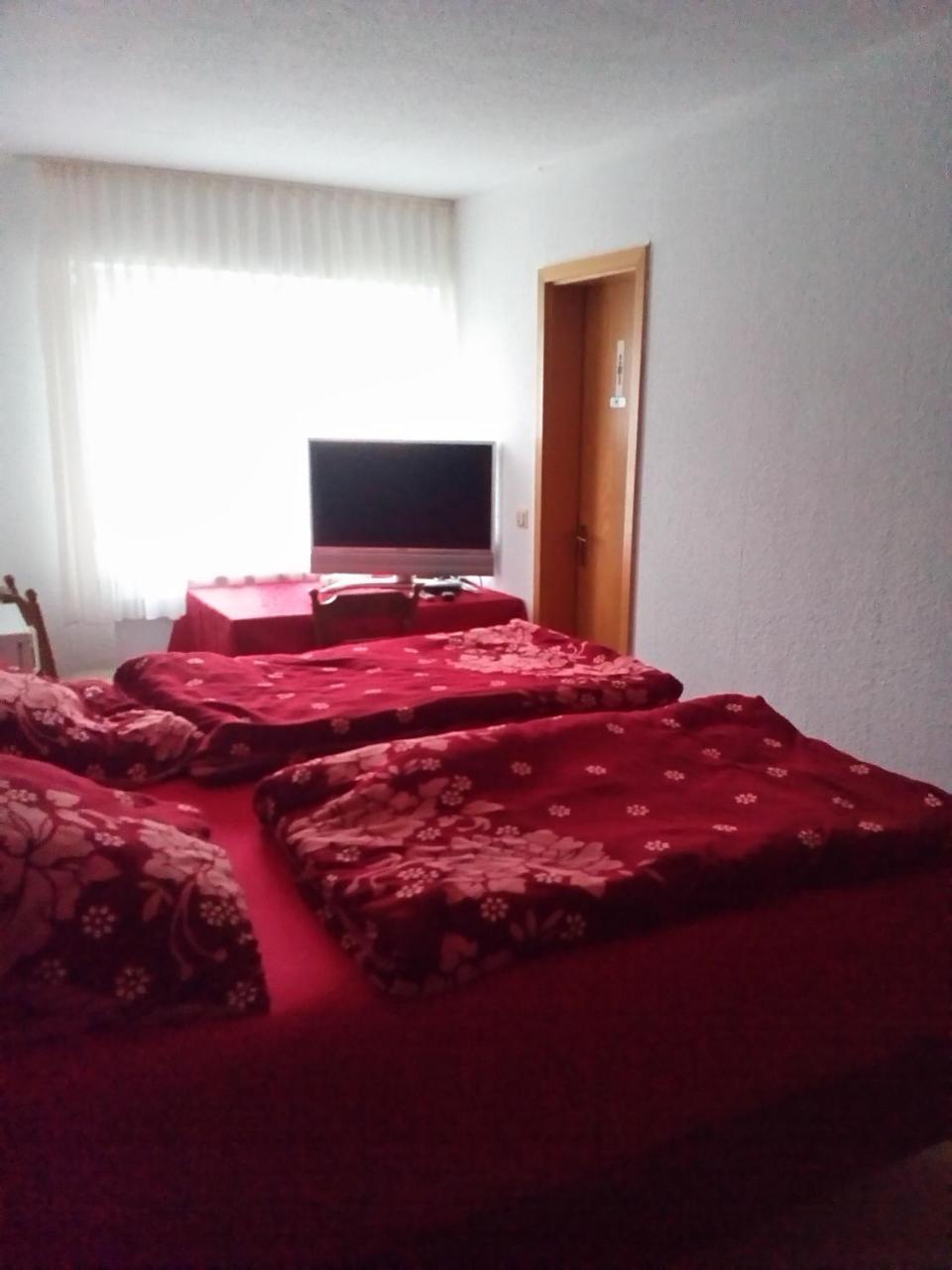 Monteurhotel Garni Alter Olper Hof 林德拉 外观 照片
